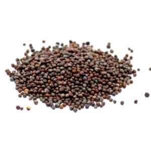 Broccoli seeds
