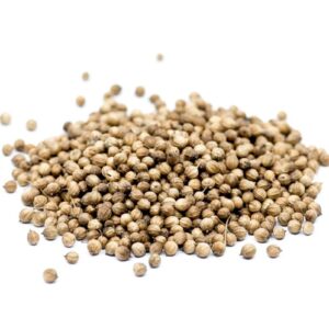Coriander seeds