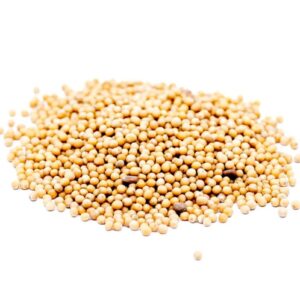 Mustard Green seeds
