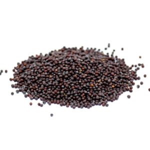 Mustard Red seeds
