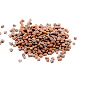 Radish Green seeds