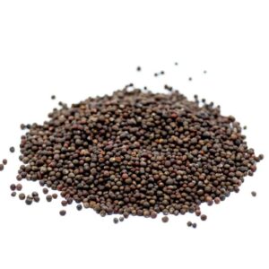 Red Cabbage seeds