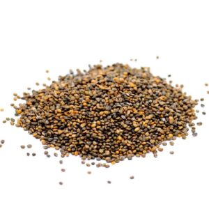 Rucola seeds